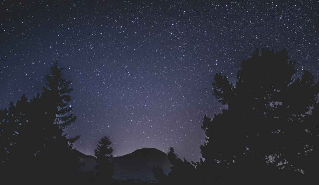 starry night sky and silhouette of trees and mountain